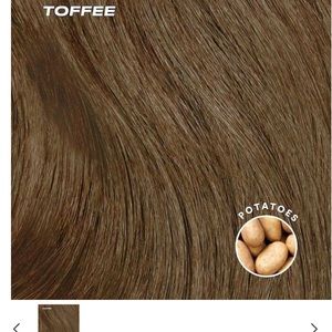 Insert Name Here Sammy bun in Toffee